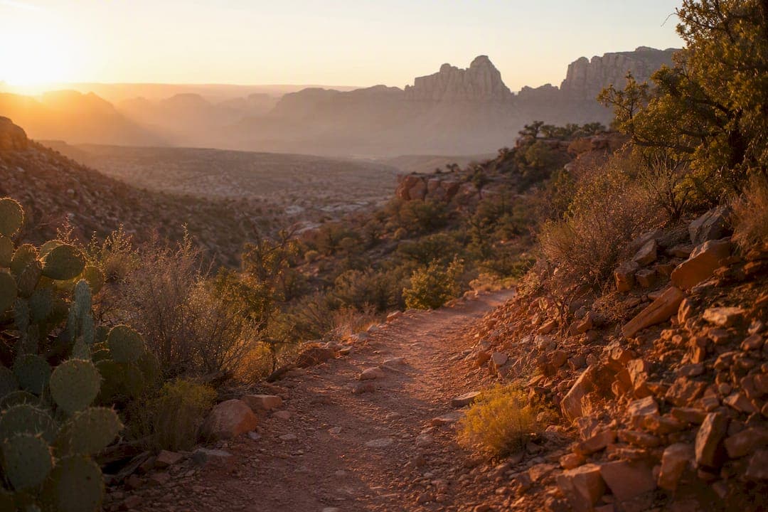 When Is It Too Hot to Hike in Arizona? Heat Index Rules